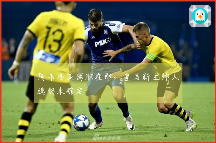 阿韦洛亚离职在即，皇马新主帅人选仍未确定
